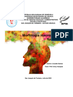 Morfología Macroscópica Funcional Lissette Gomes (Prof. Anny Vasquez)