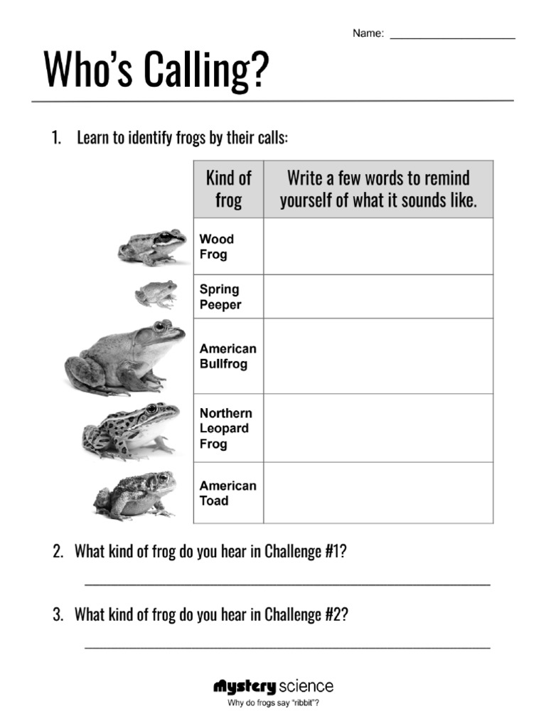 Mystery science pdf