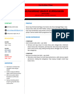 Template CV Keren