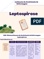 Febre Tifóide e Leptospirose