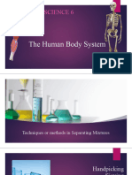 The Human Body System