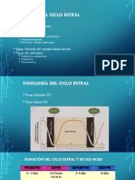 Ciclo Estralmv