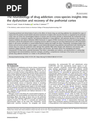 2021 Ceceli, The Neurobiology of Drug Addiction Cross-species Insights Into the Dysfunction and Recovery of the Prefrontal Cortex