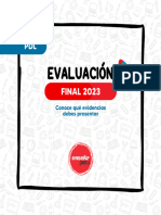 Evaluación Final - PDL - Compressed