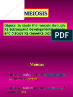 Meiosis