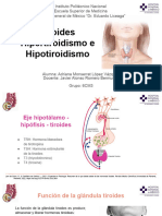 Tiroides Hipertiroidismo e Hipotiroidismo