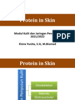K1. Protein Penyusun Kulit (Elvira Yunita, S.Si, M.Biomed)