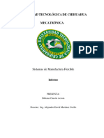 Informe - Manufactura Flexible BC