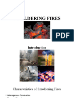 Smoldering Fires