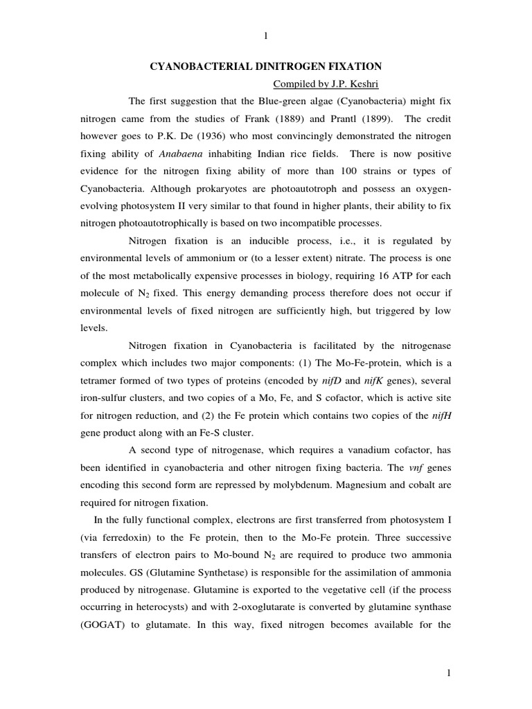 Cyanobacterial Nitrogen Fixation Mechanisms | PDF | Cyanobacteria ...