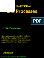 Cbse Chapter-6 Life Process