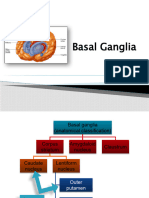 Basal Ganglia 2