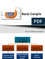 Basal Ganglia 1