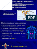 Fisiologia Renal 2022
