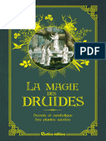 Magie Des Druides PDF