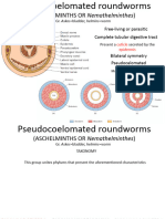 4 Pseudocoelomated Roundworms