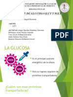 Trasporte de Glucosa SGLT y Glut