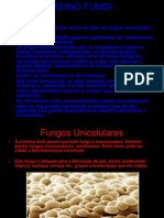 (BIO) Reino Fungi