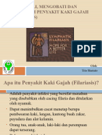 Kaki Gajah (Filariasis)