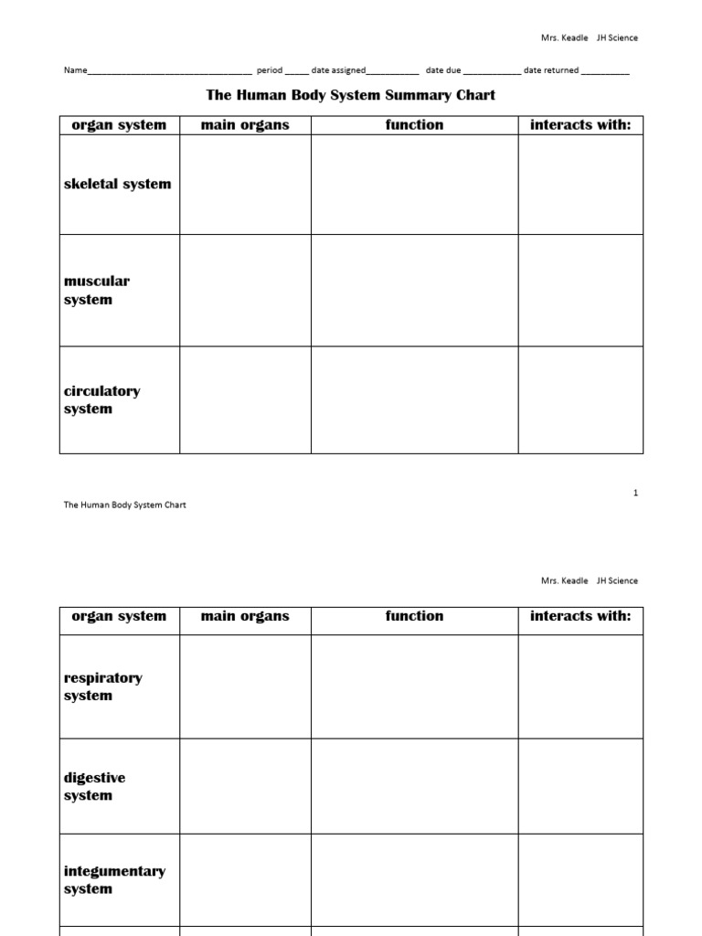 The Human Body Systems Summary Chart | PDF