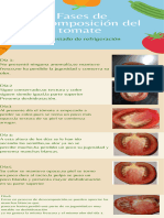 Infografía Sobre Crear Un Huerto en Casa Ilustrada - 20230826 - 071523 - 0000