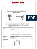 Soalan 11 SAINS SPM 2021