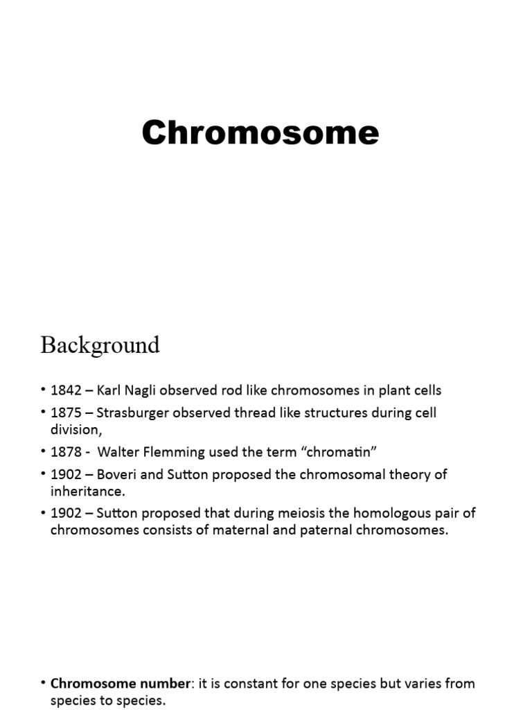 Chromosome Structure and Function Overview | PDF | Chromosome | Histone