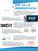 Infografía Hidrocefalia - 20231106 - 221937 - 0000