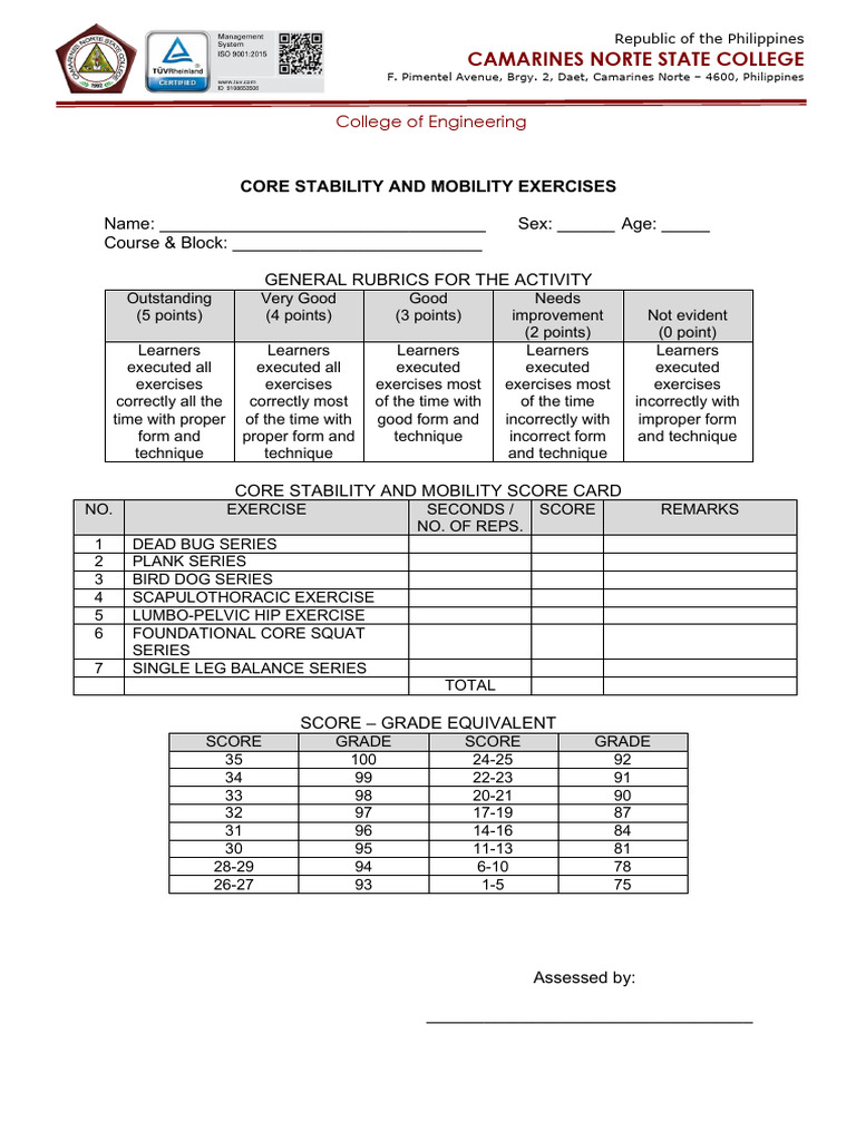 Core Stability And Mobility Exercises Coeng 1 Pdf Foot Anatomical