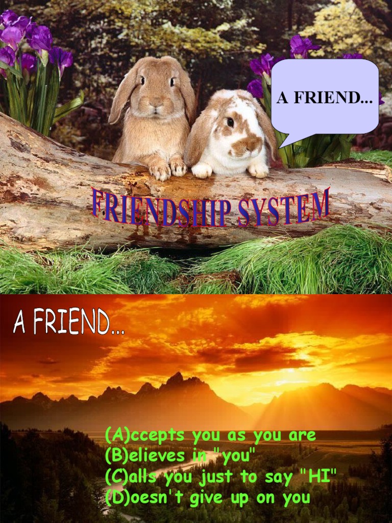The A-Z of True Friendship Traits | PDF