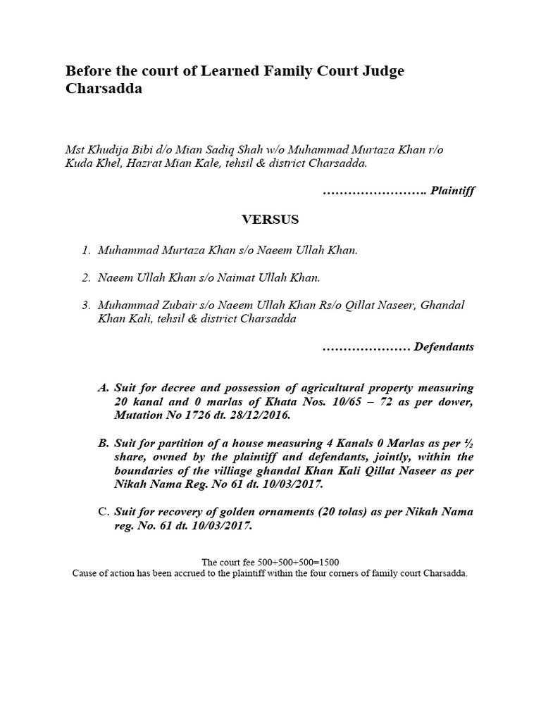 Civil Suit PDF Common Law