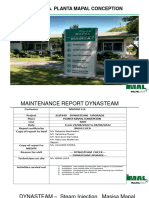 Masisa S.A. Dynasteam Check Report