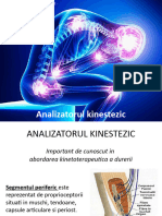 2 Analizatorul Kinestezic