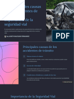 Las Principales Causas de Los Accidentes de Transito y La Importancia de La Seguridad Vial