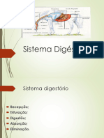 Sistema Digéstório