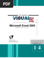 Microsoft Excel 2003: The Complete