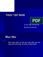 Thuc Tap Giun