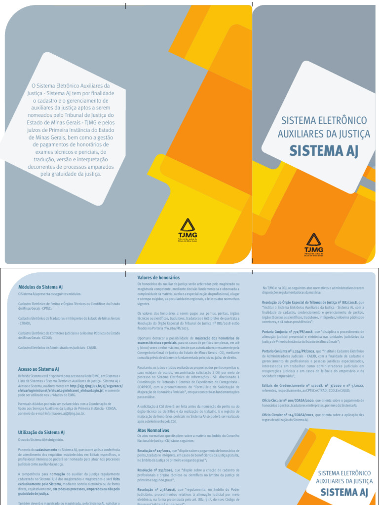 Cadastro e Gestão no Sistema AJ | PDF | Direito Político | Governo