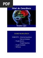 Neurocheck Padrão | PDF | Testes | Medicina Intensiva