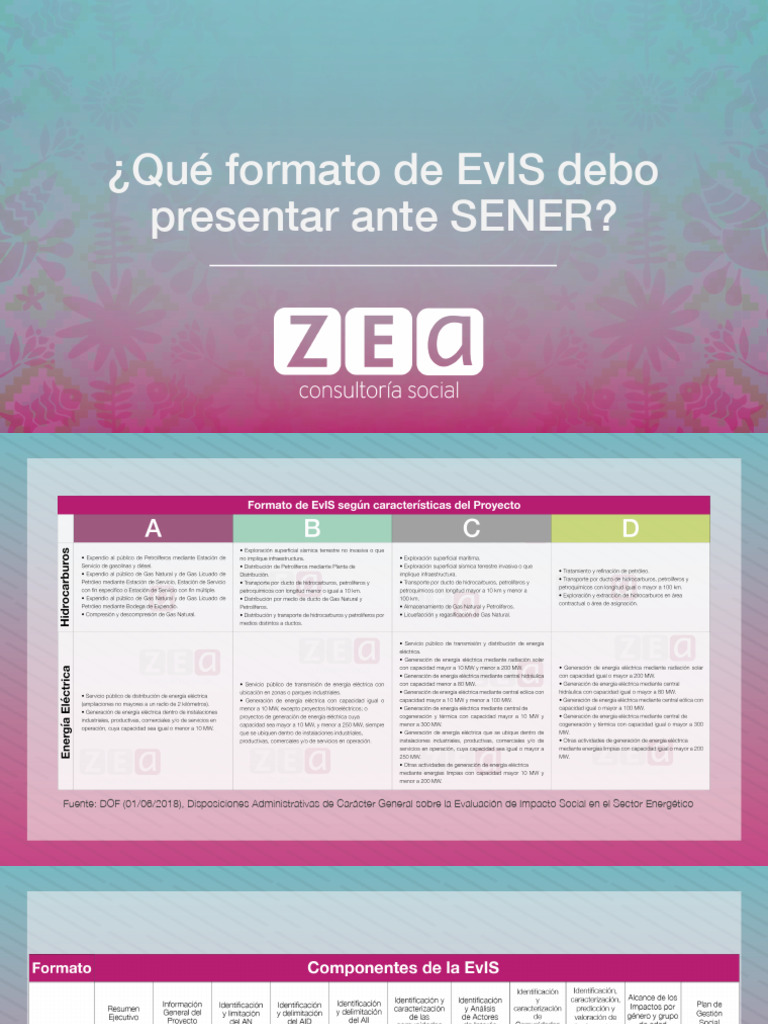 Formato EvIS para SENER | PDF | Negocios | Finanzas y dinero