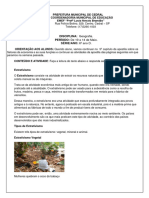 DISCIPLINA: Geografia. PERÍODO: de 10 A 14 de Maio. SÉRIE/ANO: 6º Ano D