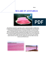The Pink Lake in Australia