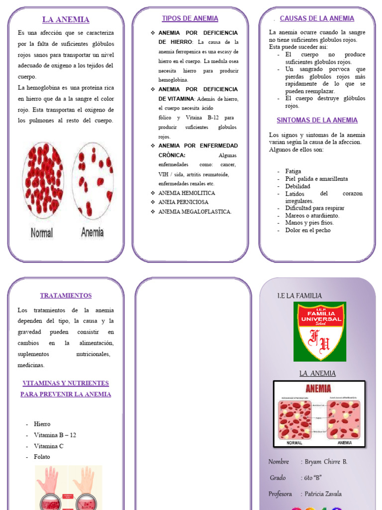 triptico-anemia-pdf-anemia-gl-bulo-rojo