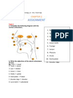 Assignment LTTN Phonetics