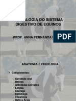 Semiologia Do Sistema Digestivo de Equinos