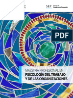 PPP Psicologia Trabajo