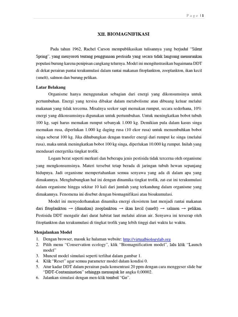 praktikum-xii-biomagnifikasi-pdf-kesehatan-holistik-sains