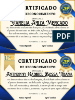 Certificado Profesional Primer Lugar Clásico Dorado y Azul