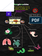 Respiración Anaerobia y Anaerobia