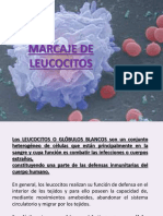7.-Marcaje de Leucocitos